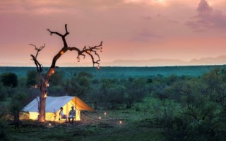 Tanda Tula Field [320x200]